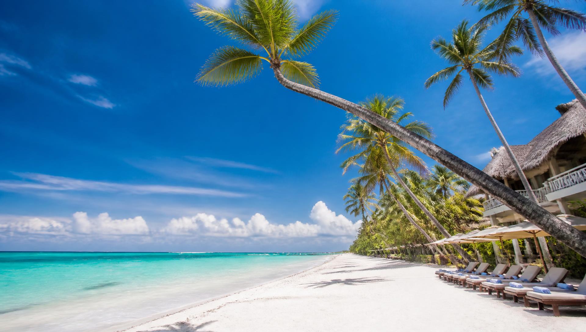 White sand shores · Diani & South Coast