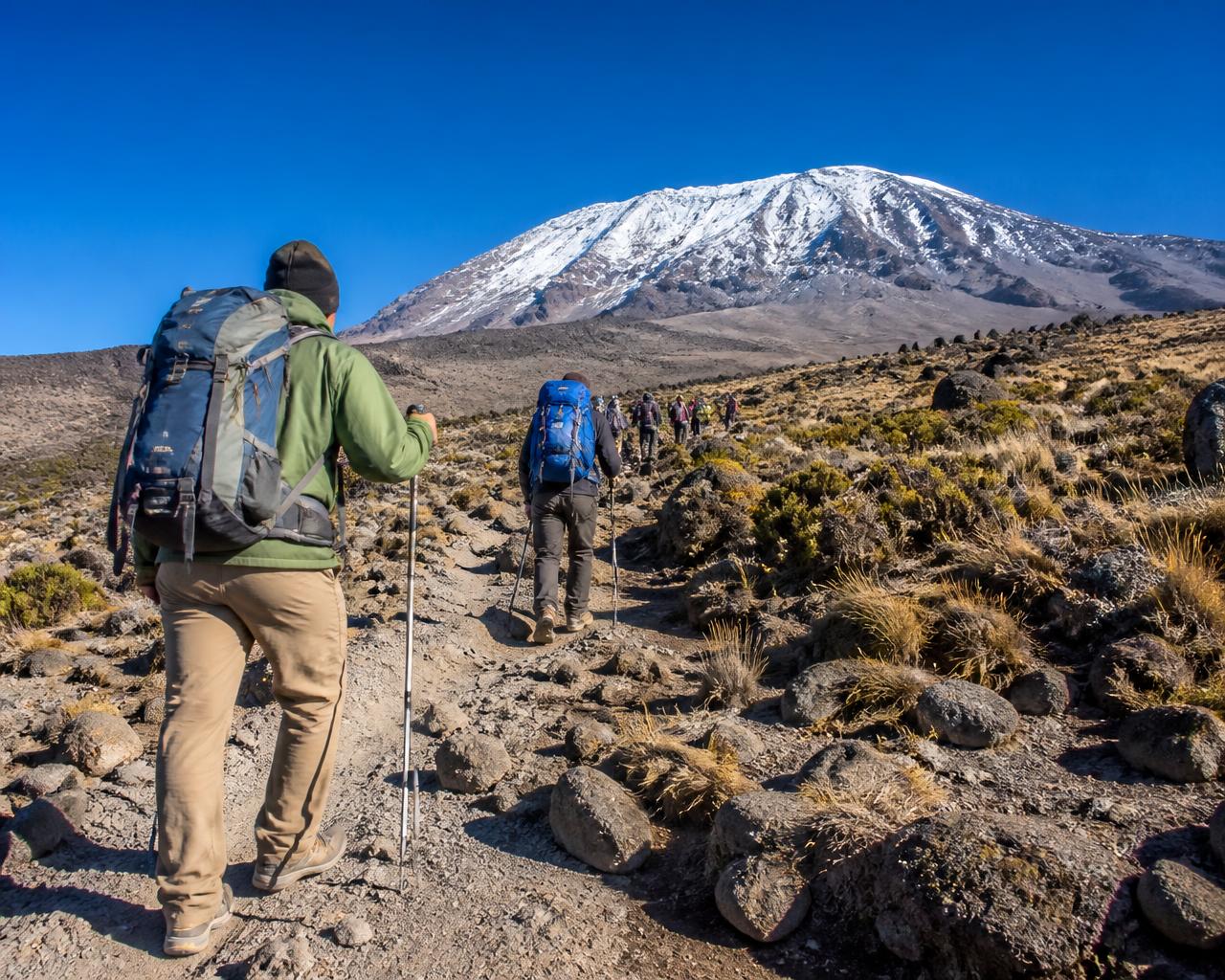 Kilimanjaro Summit Climb